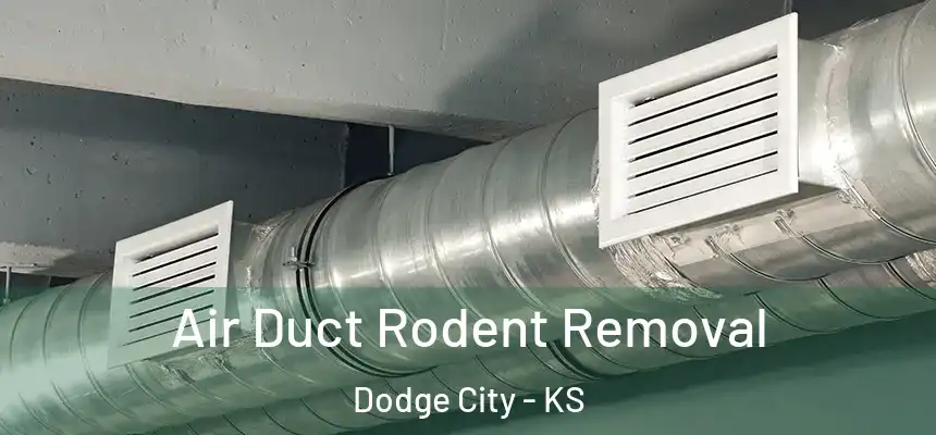  Air Duct Rodent Removal Dodge City - KS
