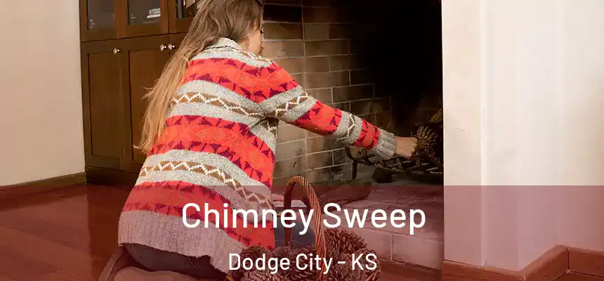  Chimney Sweep Dodge City - KS