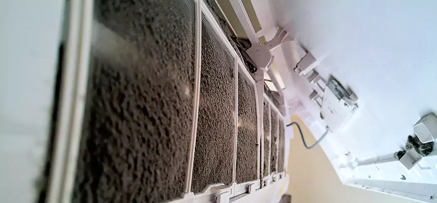 Preventive Air Duct Bacteria Removal in Dodge City