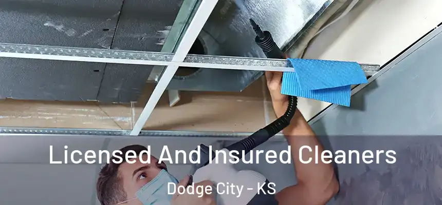  Licensed And Insured Cleaners Dodge City - KS