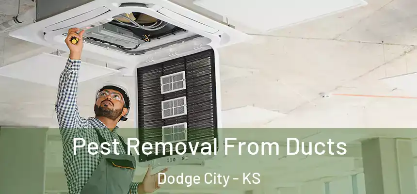Pest Removal From Ducts Dodge City - KS