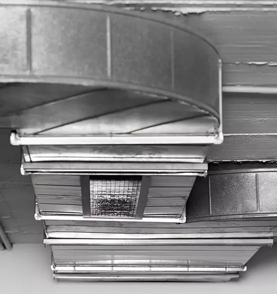 Professional Air Duct Pest Removal in Dodge City, KS