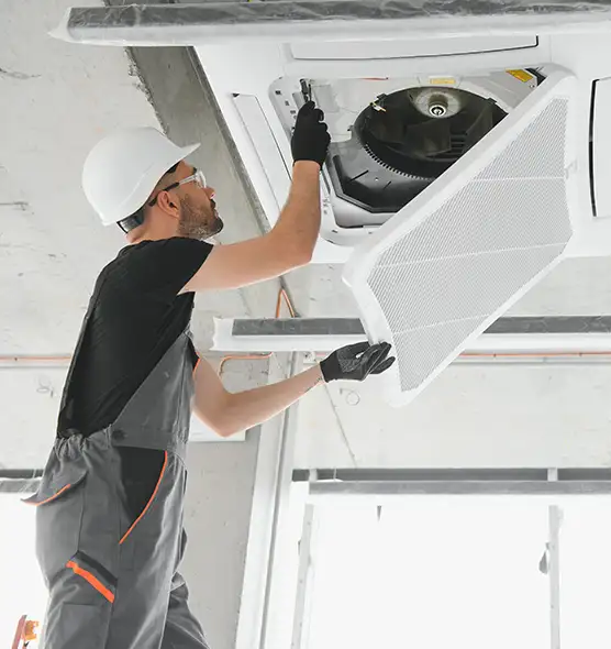 About Air Duct Rodent Removal in Dodge City, KS