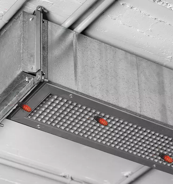 Affordable Insect Removal from Air Ducts in Dodge City, KS