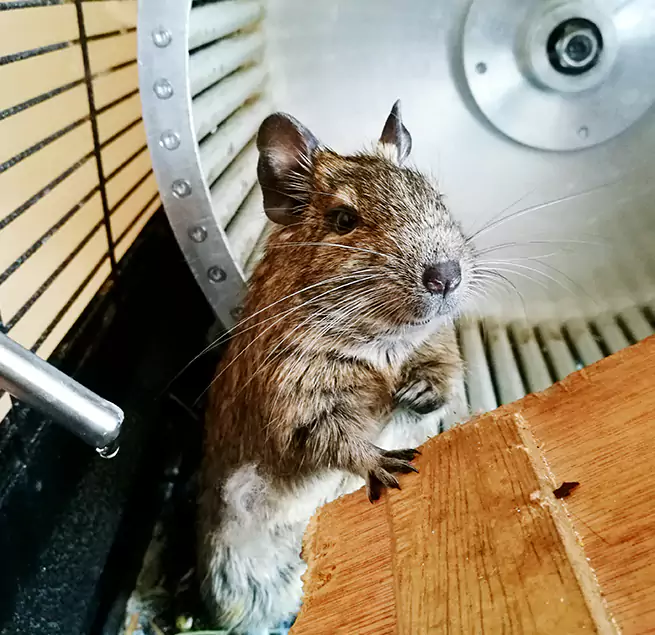 Why Homeowners & Businesses Trust Us Dodge City, KS?