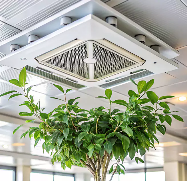 Why Homeowners & Businesses Trust Us in Dodge City, KS?